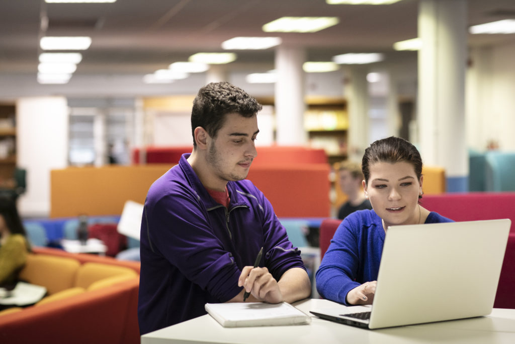 Digital Content Creation